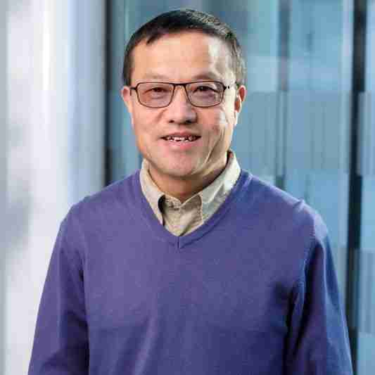 Profile image of Dr Bing Wang