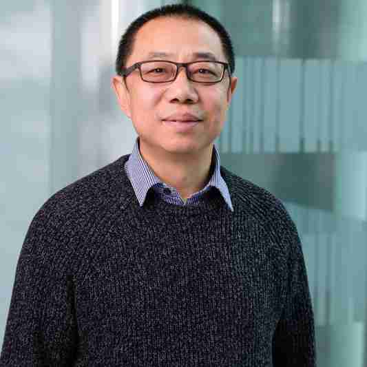 Profile image of Professor Youwei Li