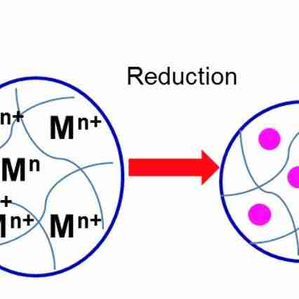 Training in the on-chip fabrication of smart polymer microgel particles for nanotechnological and environmental applications